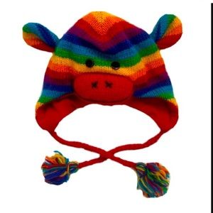 Rainbow Monkey Winter Hat